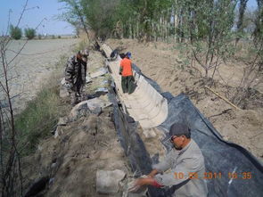 農八師一四八團加大農田水利基礎設施建設，夯實農業發展根基