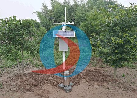 科技賦能田野 小型氣象監測站與托管服務引領現代農業新變革