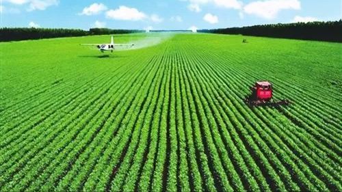 減少1300萬人，東北農業逆襲新路徑 企業托管服務重塑黑土地