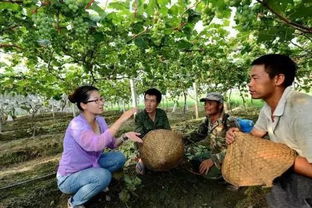 女漢子田間展英姿，農業基建鑄就致富路