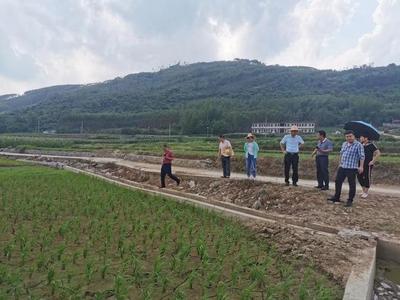 來(lái)賓市農(nóng)業(yè)農(nóng)村局聯(lián)合財(cái)政局開(kāi)展2021年高標(biāo)準(zhǔn)農(nóng)田建設(shè)及耕地地力保護(hù)督導(dǎo)工作，助力農(nóng)業(yè)企業(yè)托管服務(wù)發(fā)展