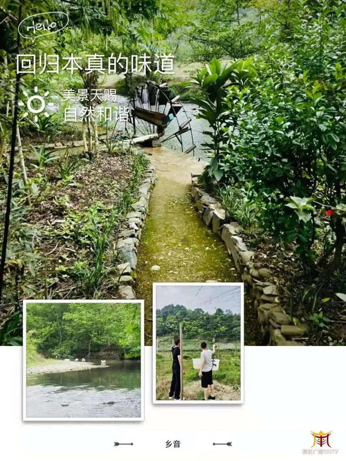 投資新機(jī)遇 廣南鄉(xiāng)村農(nóng)業(yè)企業(yè)托管服務(wù)項(xiàng)目全解析