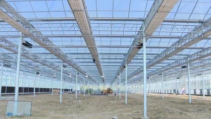 濰城 強(qiáng)化服務(wù)保障，農(nóng)業(yè)企業(yè)托管服務(wù)推動(dòng)重點(diǎn)項(xiàng)目建設(shè)再提速