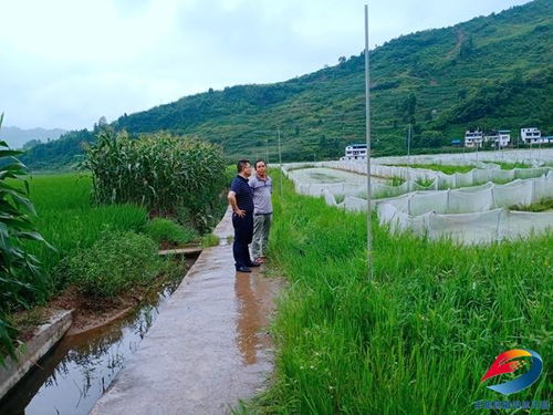 聚力破解歷史難題，夯實(shí)農(nóng)業(yè)發(fā)展根基——縣農(nóng)業(yè)農(nóng)村委扎實(shí)推進(jìn)農(nóng)業(yè)基礎(chǔ)設(shè)施建設(shè)