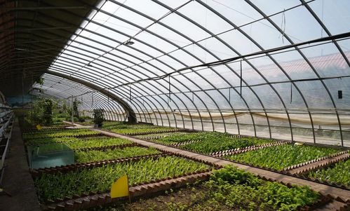 榆中縣堅(jiān)持“四生融合”理念，夯實(shí)農(nóng)業(yè)基礎(chǔ)設(shè)施建設(shè)和美鄉(xiāng)村