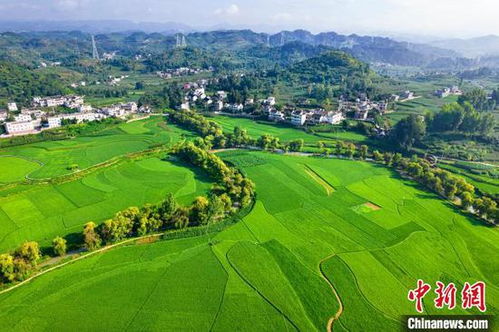 綠意盎然黔西夏，基建賦能田園興