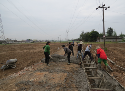 按下“快進鍵”！東坡區高標準農田建設正酣，筑牢現代農業發展根基